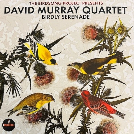 David Murray - Birdly Serenade (0602475915928) виниловая пластин...