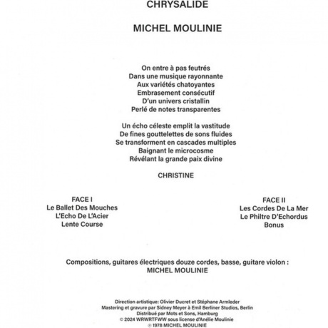 Michel Moulinie - Chrysalide (4251804181389) виниловая пластинка - фото 2
