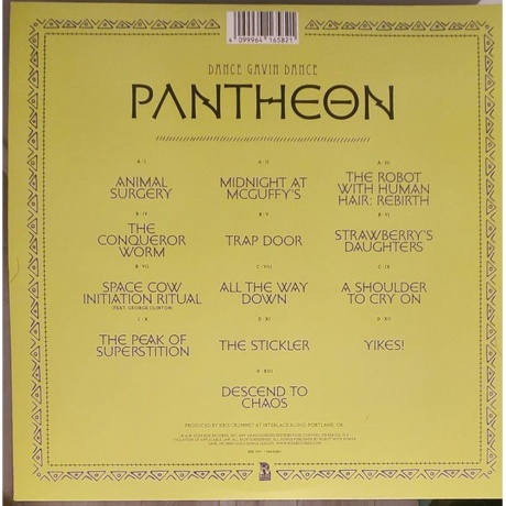 Dance Gavin Dance - Pantheon (coloured) (4099964165821) виниловая пластинка - фото 4