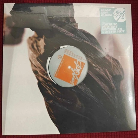 Pixies - The Night The Zombies Came (4099964051353) виниловая пл...