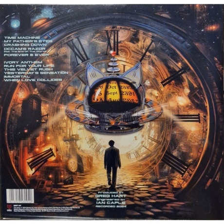 Cats In Space - Time Machine (5013929480940) виниловая пластинка - фото 2