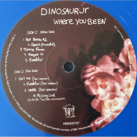 Dinosaur Jr. - Where You Been (coloured) (5013929175716) виниловая пластинка - фото 8