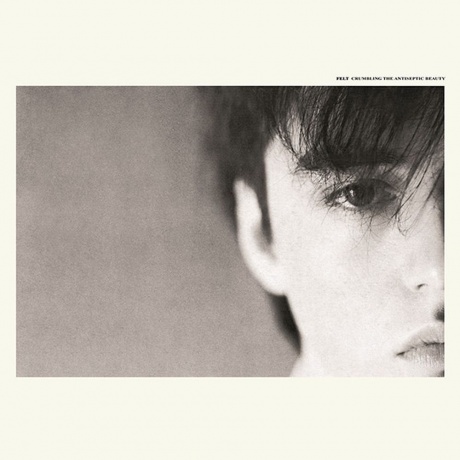 Felt - Crumbling The Antiseptic Beauty (5013929078017) виниловая пластинка - фото 1