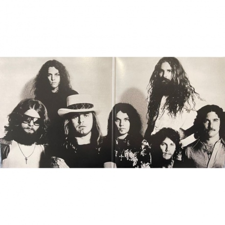 Lynyrd Skynyrd - Street Survivors (0600753550199) виниловая пластинка - фото 3