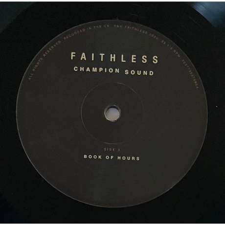 Faithless - Champion Sound (3760420425186) виниловая пластинка - фото 6