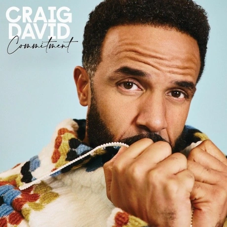 Craig David - Commitment (3700187689810) виниловая пластинка