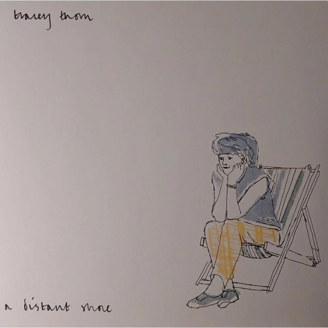 Tracey Thorn - A Distant Shore (5013929187511) виниловая пластин...