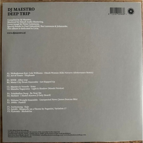 Dj Maestro - Deep Trip (8715197025836) виниловая пластинка - фото 2