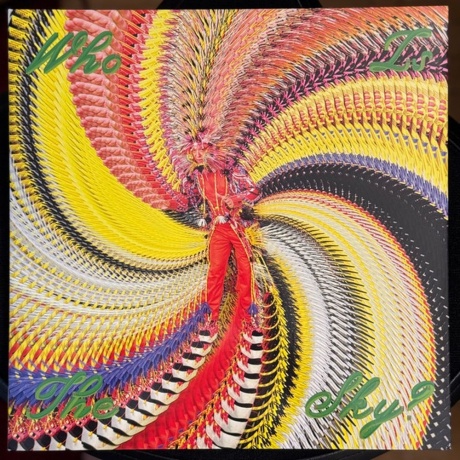 David Byrne - Who Is The Sky? (0191401217811) виниловая пластинка - фото 1