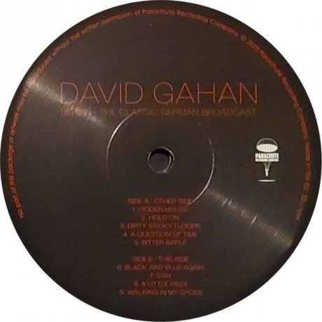 David Gahan - Berlin (0803341576537) виниловая пластинка - фото 8