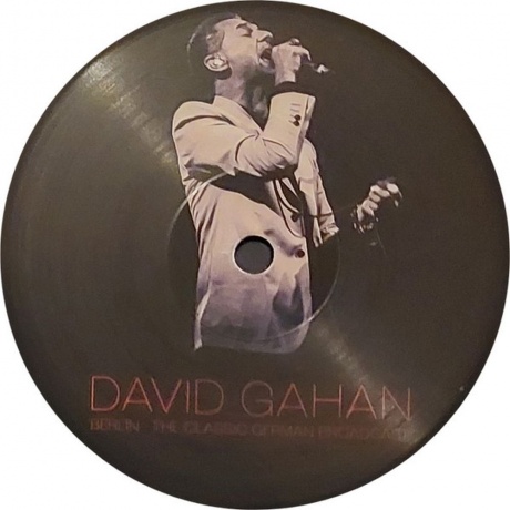David Gahan - Berlin (0803341576537) виниловая пластинка - фото 9