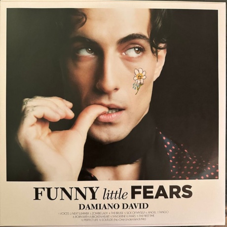 David Damiano - Funny Little Fears (Cream) (0198029068016) виниловая пластинка - фото 5