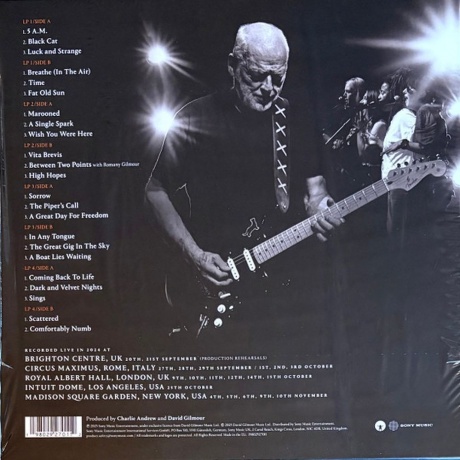 David Gilmour - Luck And Strange Concerts (0198029270112) виниловая пластинка - фото 2