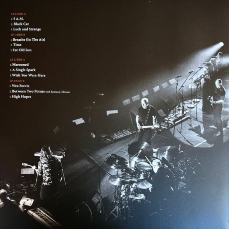 David Gilmour - Luck And Strange Concerts (0198029270112) виниловая пластинка - фото 12