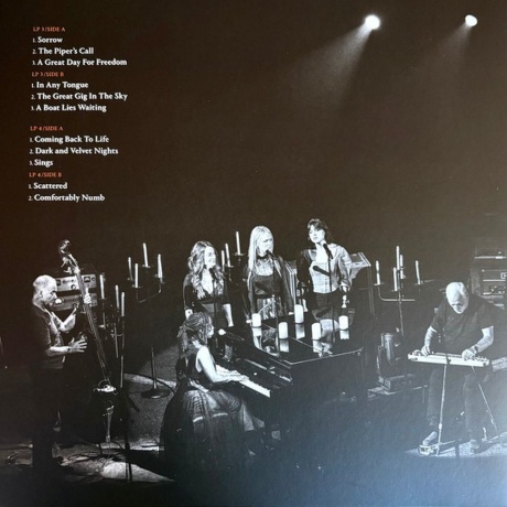David Gilmour - Luck And Strange Concerts (0198029270112) виниловая пластинка - фото 14