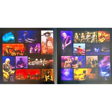David Gilmour - Luck And Strange Concerts (0198029270112) виниловая пластинка - фото 24