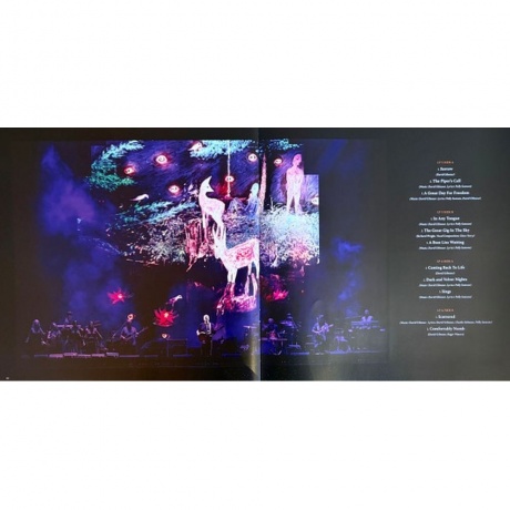 David Gilmour - Luck And Strange Concerts (0198029270112) виниловая пластинка - фото 27