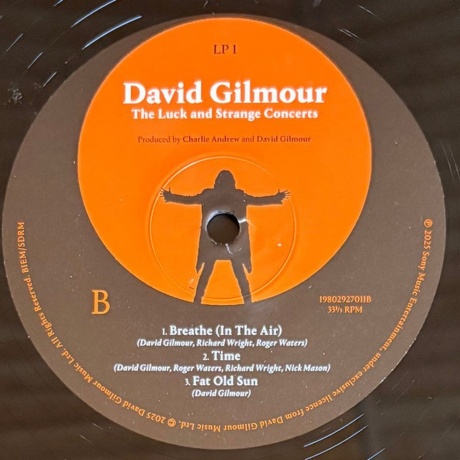 David Gilmour - Luck And Strange Concerts (0198029270112) виниловая пластинка - фото 4