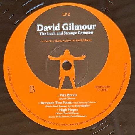 David Gilmour - Luck And Strange Concerts (0198029270112) виниловая пластинка - фото 6