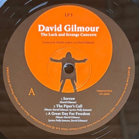 David Gilmour - Luck And Strange Concerts (0198029270112) виниловая пластинка - фото 7