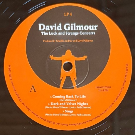 David Gilmour - Luck And Strange Concerts (0198029270112) виниловая пластинка - фото 9