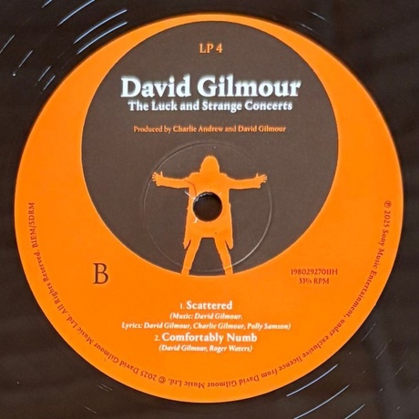 David Gilmour - Luck And Strange Concerts (0198029270112) виниловая пластинка - фото 10