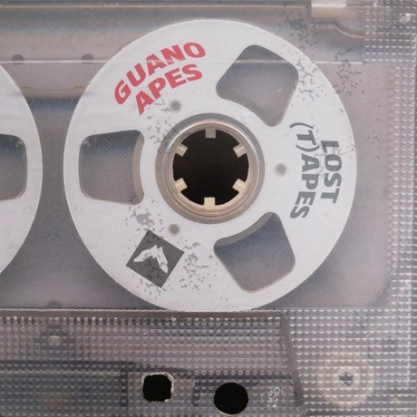 Guano Apes - Lost (T)Apes (0198028646215) виниловая пластинка - фото 1