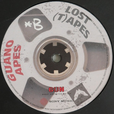 Guano Apes - Lost (T)Apes (0198028646215) виниловая пластинка - фото 4