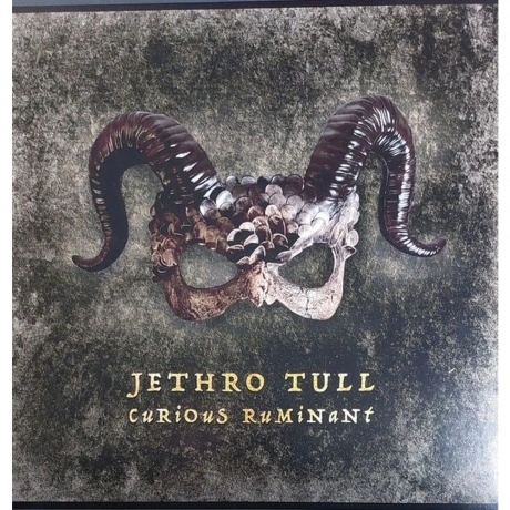 Jethro Tull - Curious Ruminant (0198028795913) виниловая пластин...