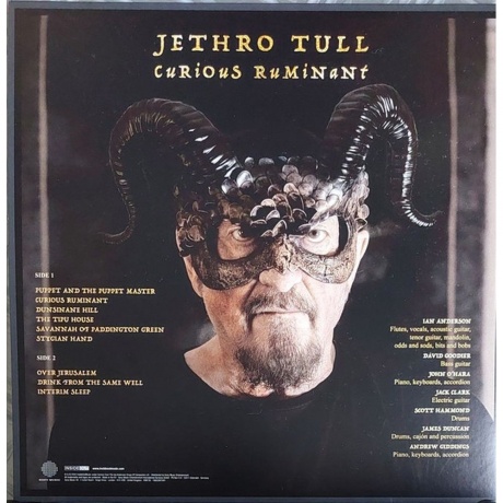 Jethro Tull - Curious Ruminant (0198028795913) виниловая пластинка - фото 2