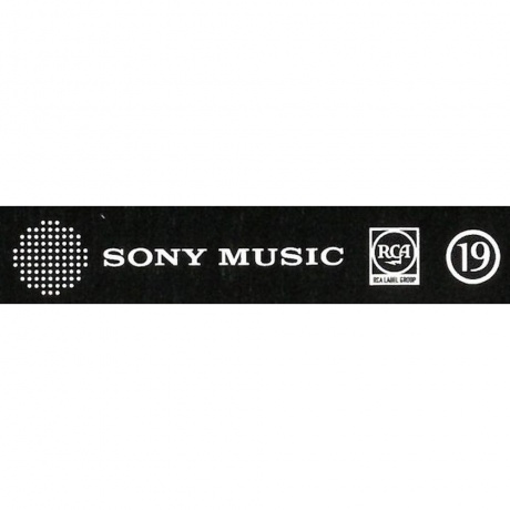 Annie Lennox - Songs Of Mass Destruction (0198029462814) виниловая пластинка - фото 4