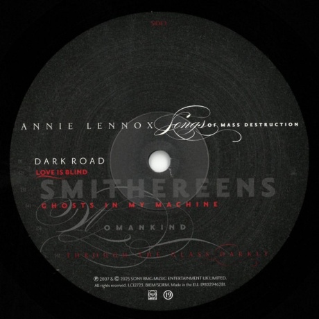 Annie Lennox - Songs Of Mass Destruction (0198029462814) виниловая пластинка - фото 6