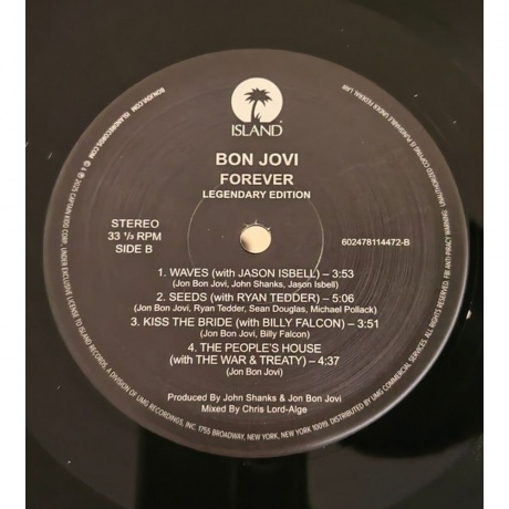 Bon Jovi - Forever (Legendary Edition) (0602478114472) виниловая пластинка - фото 11