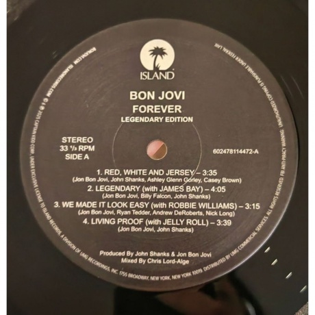 Bon Jovi - Forever (Legendary Edition) (0602478114472) виниловая пластинка - фото 10