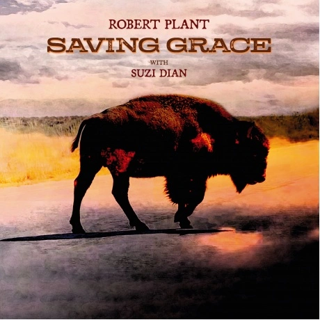 Robert Plant - Saving Grace (0075597895704) виниловая пластинка