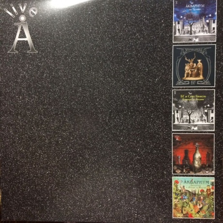 Аквариум - Оракул Божественной Бутылки (2Lp) (4640004135078) виниловая пластинка - фото 8