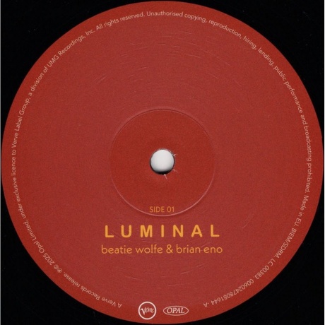 Brian Eno &amp; Beatie Wolfe - Luminal (0602478081644) виниловая пластинка - фото 3