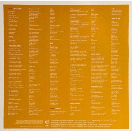 Brian Eno &amp; Beatie Wolfe - Luminal (0602478081644) виниловая пластинка - фото 5