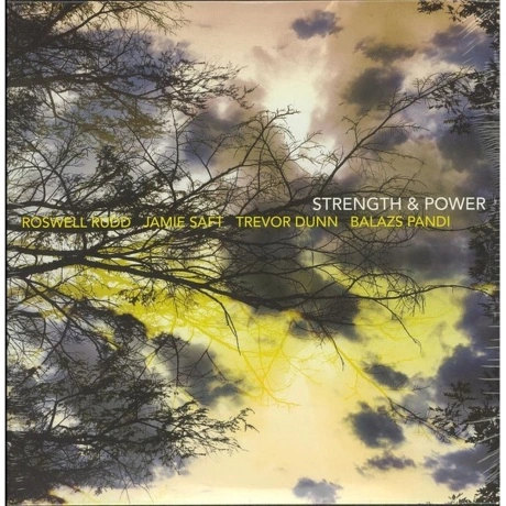 Roswell Rudd, Trevor Dunn & Jamie Saft - Strength And Power (506...