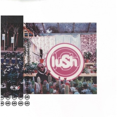Lush - Lovelife (0191400045316) виниловая пластинка