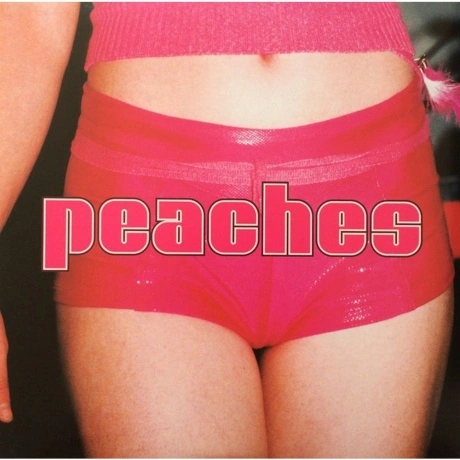 Peaches - Teaches Of Peaches (0634904016319) виниловая пластинка