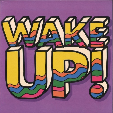 Purple Disco Machine - Wake Up! (V12) (0196587245115) виниловая пластинка - фото 1