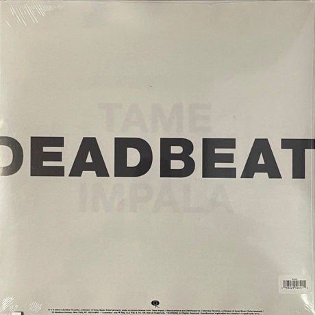 Tame Impala - Deadbeat (0198029560015) виниловая пластинка - фото 2