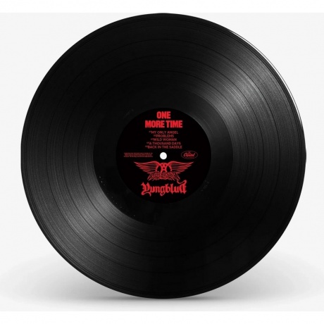 Aerosmith &amp; Yungblud - One More Time (0602478983351) виниловая пластинка - фото 4