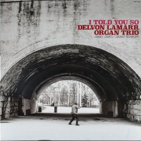 Delvon Lamarr - I Told You So (0674862655199) виниловая пластинк...