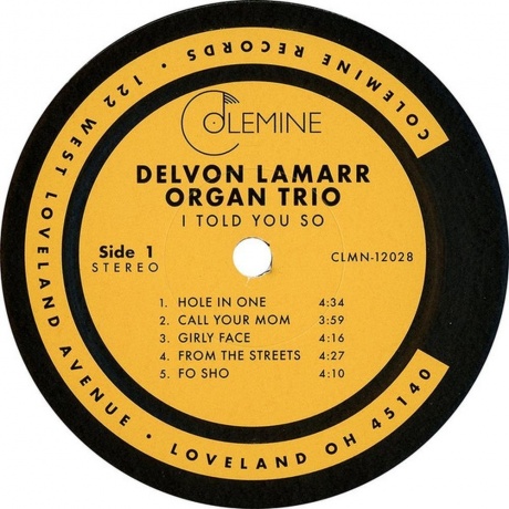 Delvon Lamarr - I Told You So (0674862655199) виниловая пластинка - фото 4