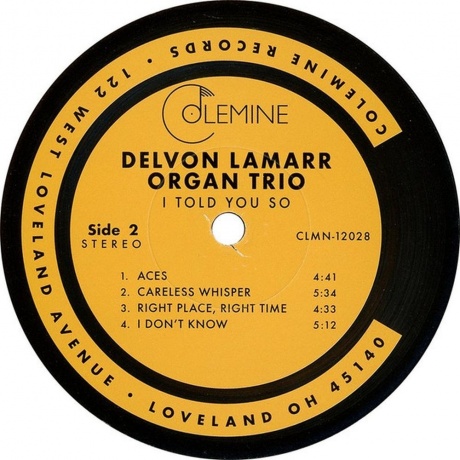 Delvon Lamarr - I Told You So (0674862655199) виниловая пластинка - фото 5