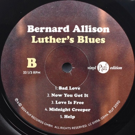 Bernard Allison - Luthers Blues (0710347209010) виниловая пластинка - фото 6