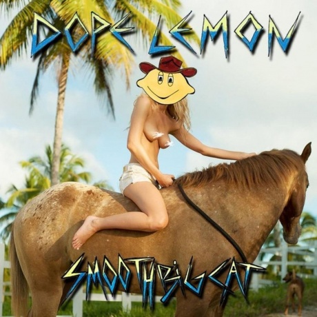 Dope Lemon - Smooth Big Cat (Picture) (4050538504187) виниловая пластинка - фото 1