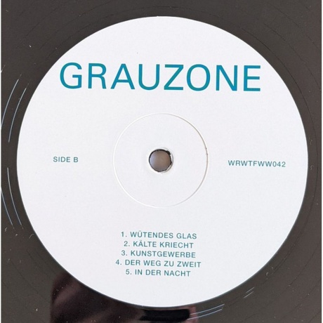 Grauzone - Grauzone (4251804122153) виниловая пластинка - фото 4